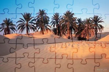 Palmeras del desierto jigsaw puzzle