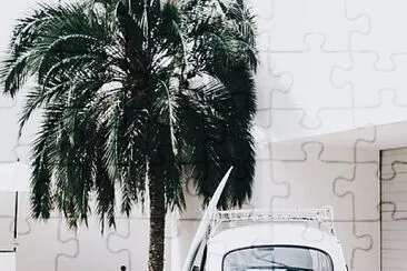 Fusca and palm tree