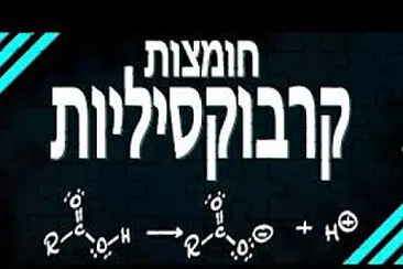 ××”×¨× ×™×•×¡