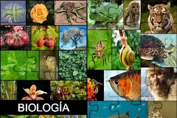 BIOLOGIA jigsaw puzzle