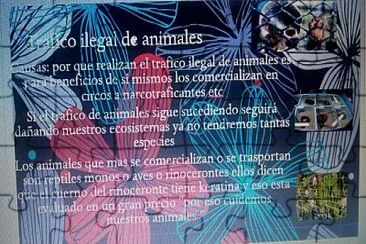 causas del trafico de animales