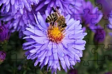 abejas en flor jigsaw puzzle