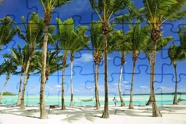 Tropical palm trees jigsaw puzzle