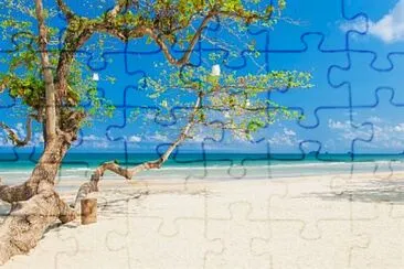 Tropical tree jigsaw puzzle