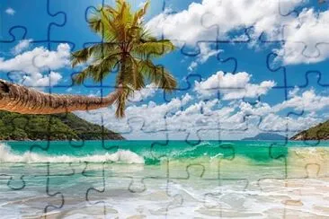 Tropical waves jigsaw puzzle