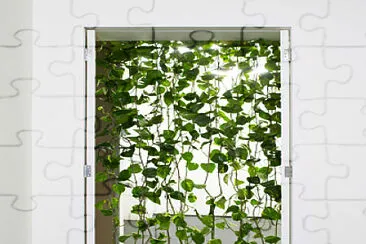 Green vine courtain jigsaw puzzle