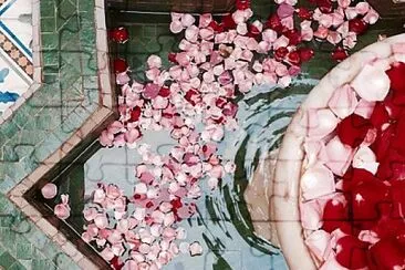 פאזל של Rose petals in fountain