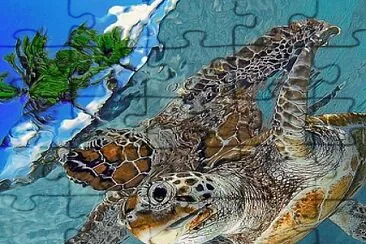 Turtle reflection jigsaw puzzle