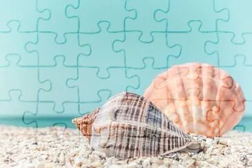 Tropical seashells jigsaw puzzle