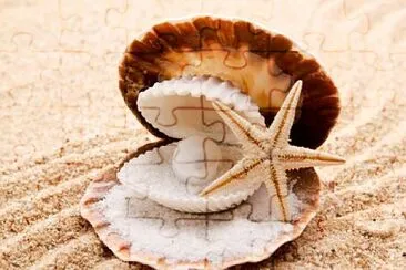 Pearl, starfish and seashells jigsaw puzzle