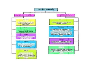 mapa conceptual del origen de la vida