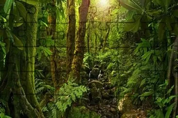 La Selva! jigsaw puzzle