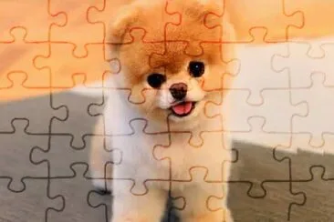 Animales jigsaw puzzle