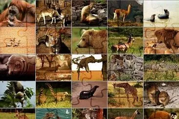 Animales jigsaw puzzle