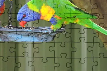 general jigsaw puzzle