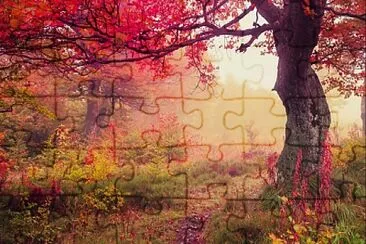 Otonio 01 jigsaw puzzle