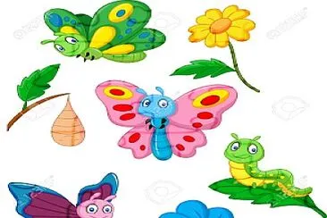 MARIPOSA jigsaw puzzle