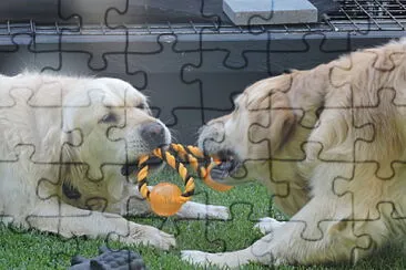 general jigsaw puzzle