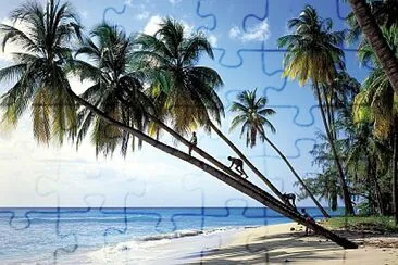 Beach jigsaw puzzle