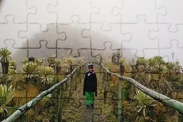 LIBERTAD - ECUADOR jigsaw puzzle