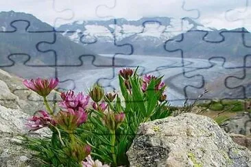 belleza jigsaw puzzle