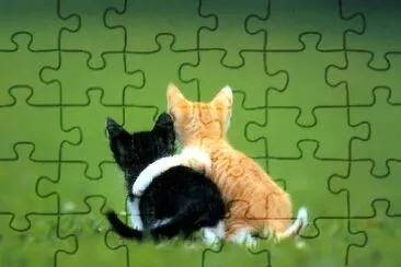 AMI? jigsaw puzzle