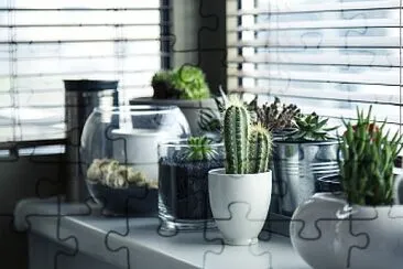 Plantas jigsaw puzzle