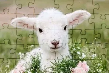 animales jigsaw puzzle