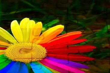 Girasol Multicolor jigsaw puzzle