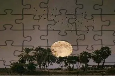 natural jigsaw puzzle