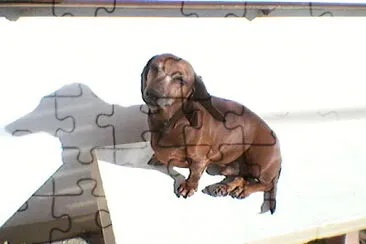 Animal jigsaw puzzle