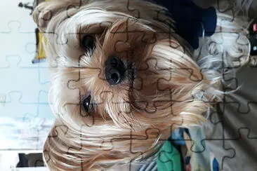 Pet jigsaw puzzle