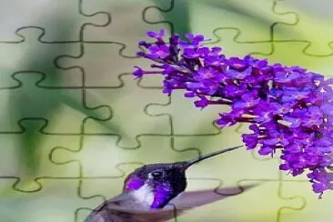 flores jigsaw puzzle