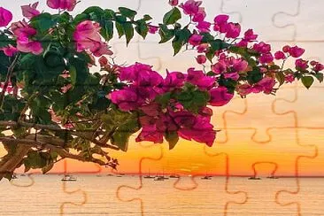 flores jigsaw puzzle