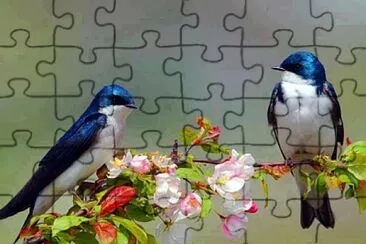 imagem jigsaw puzzle