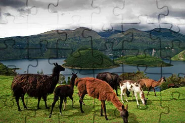 PaÃ­saje llamas jigsaw puzzle