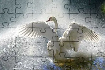 imagem jigsaw puzzle