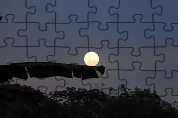 natural jigsaw puzzle