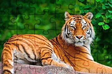 ï¼¡ï¼®ï¼©ï¼­ï¼¡ï¼¬ï¼¥ï¼³2 jigsaw puzzle