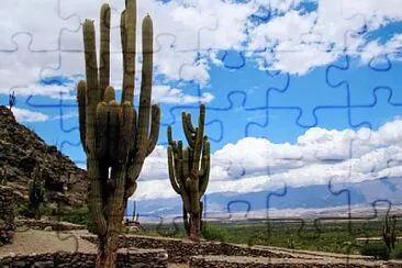 RUINAS DE QUILMES, TUCUMÃN, ARGENTINA jigsaw puzzle