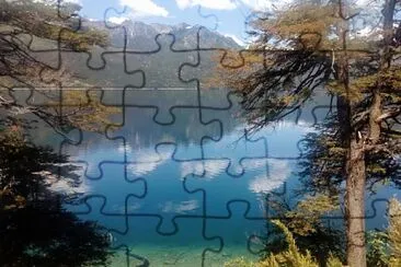 NEUQUÃ‰N, ARGENTINA jigsaw puzzle