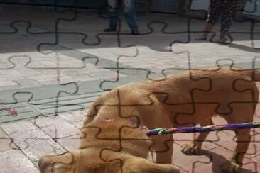 Ojitos jigsaw puzzle