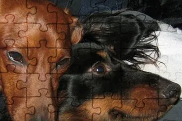 Hansi   Dieter jigsaw puzzle