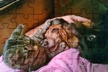 Sebastian, Hansi   Dieter jigsaw puzzle