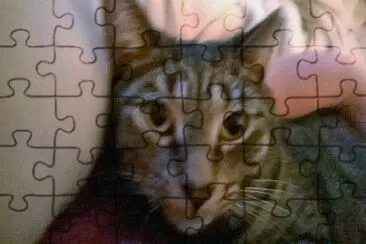 Sebastian jigsaw puzzle