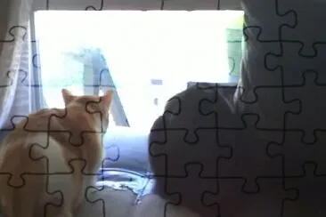 Ava   Sebastian in the window jigsaw puzzle