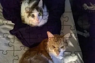 Ava   Sweet Pea on the bed jigsaw puzzle