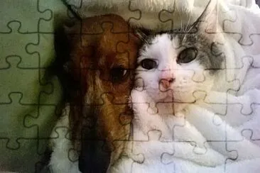 Hansi and Sweet Pea jigsaw puzzle