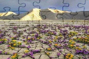 Paisajes jigsaw puzzle