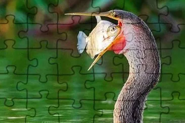 CENÃRIO K144 jigsaw puzzle